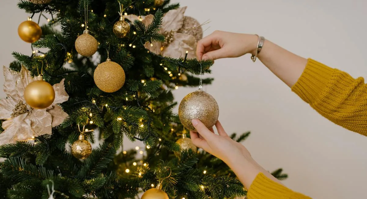 Известный мольфар рассказал, когда лучше ставить елку, чтобы привлечь деньги и любовь - today.ua