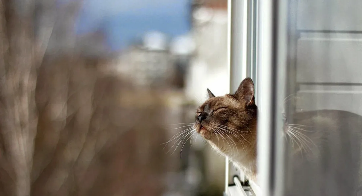 Такої зими в Україні ще не було: синоптики здивували погодним прогнозом - today.ua