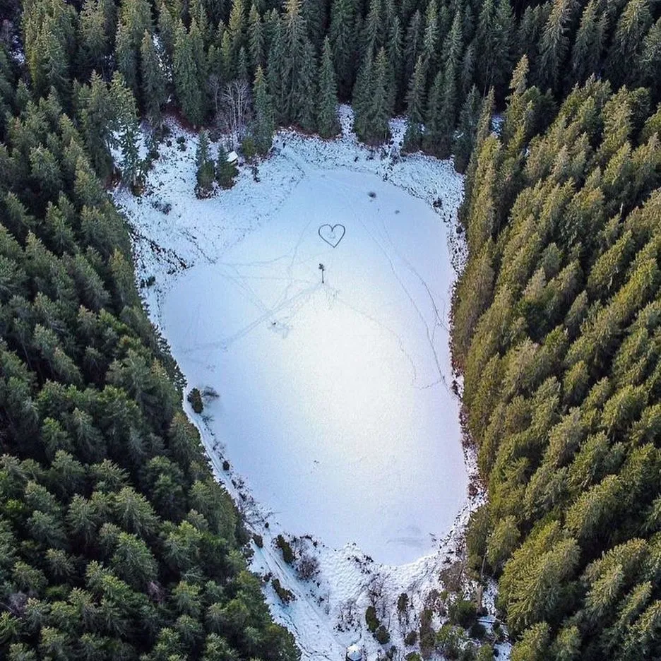 Самое высокое жилье в Украине: где находится уникальный дом, который попал в Книгу рекордов Гиннесса (фото) Самое высокое жилье в Украине: где находится уникальный дом, который попал в Книгу рекордов Гиннесса (фото) - today.ua
