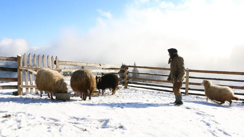 Самое высокое жилье в Украине: где находится уникальный дом, который попал в Книгу рекордов Гиннесса (фото) Самое высокое жилье в Украине: где находится уникальный дом, который попал в Книгу рекордов Гиннесса (фото) - today.ua
