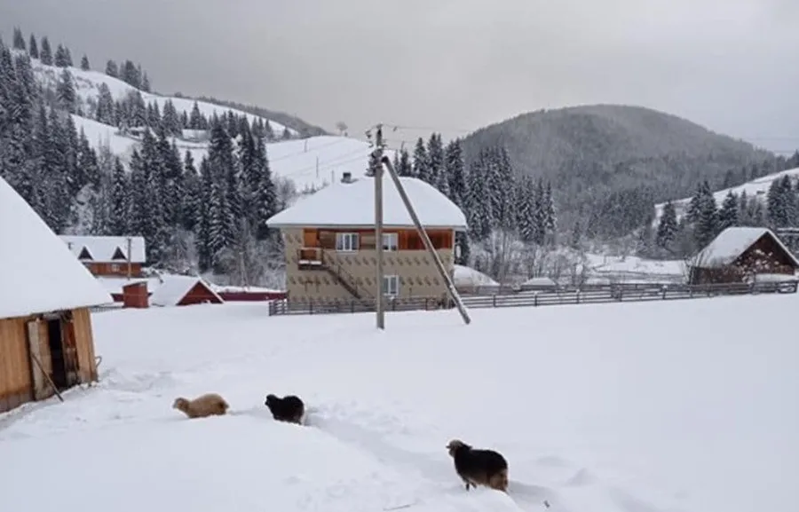 Самое высокое жилье в Украине: где находится уникальный дом, который попал в Книгу рекордов Гиннесса (фото) Самое высокое жилье в Украине: где находится уникальный дом, который попал в Книгу рекордов Гиннесса (фото) - today.ua