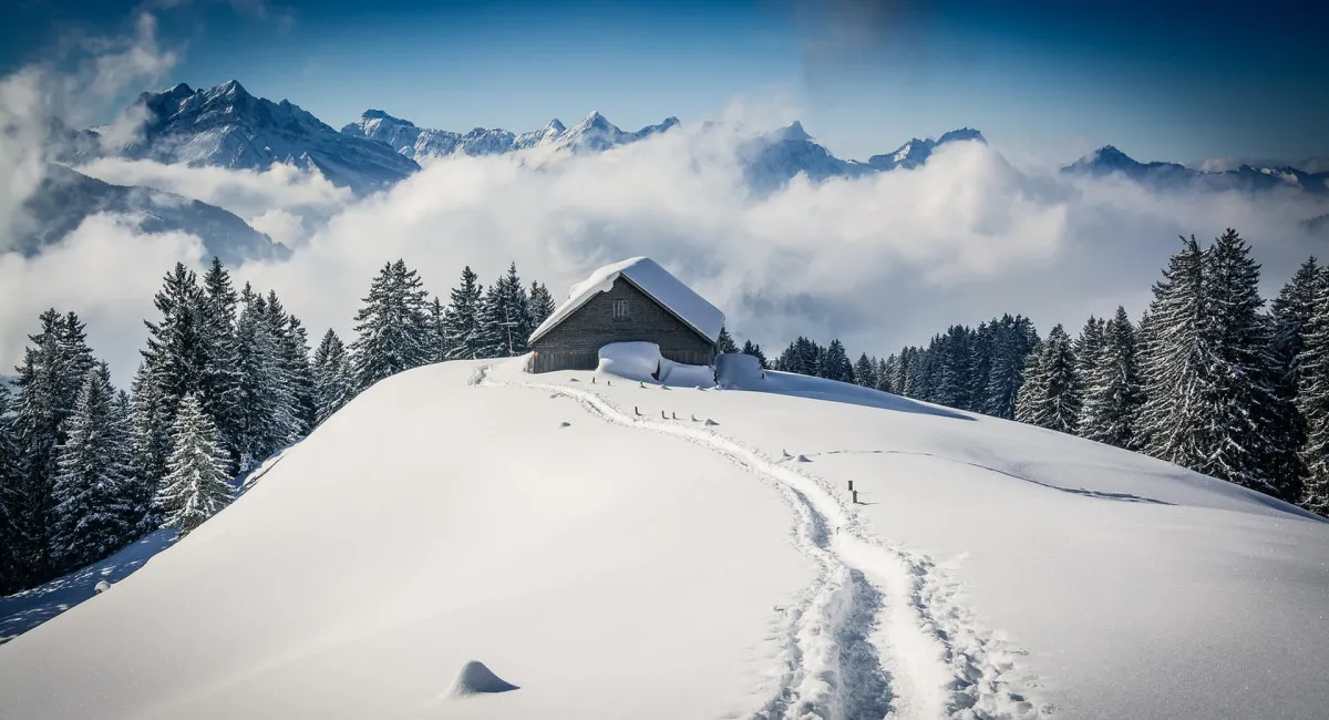 Найвище житло в Україні: де знаходиться унікальний будинок, що потрапив до Книги рекордів Гіннесса (фото) - today.ua