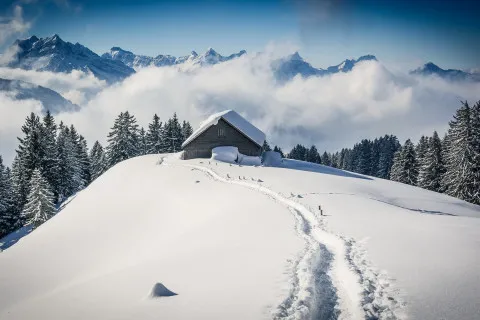 Самое высокое жилье в Украине: где находится уникальный дом, который попал в Книгу рекордов Гиннесса (фото)