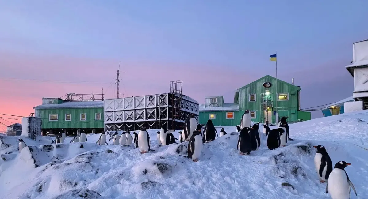 Учёные бьют в набат: морская вода в Антарктике перестала замерзать - today.ua