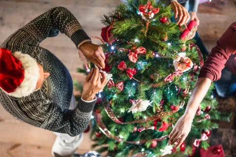 Секрет "живой" елки: как выбрать дерево, которое не осыплется до конца праздников