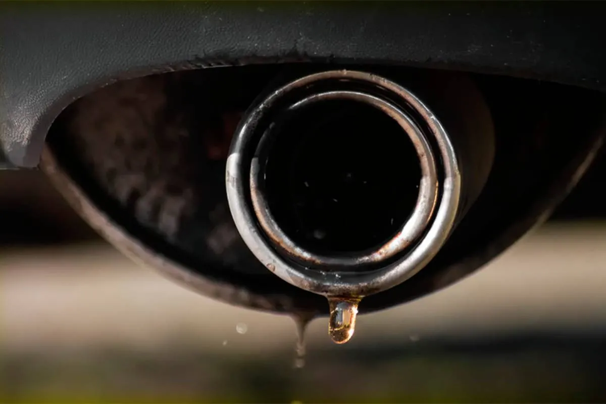 Белый дым и капли из выхлопной трубы: когда не стоит игнорировать - today.ua