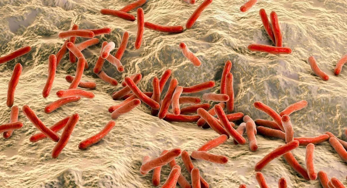 В Европу после длительного забвения вернулась опасная средневековая болезнь - today.ua