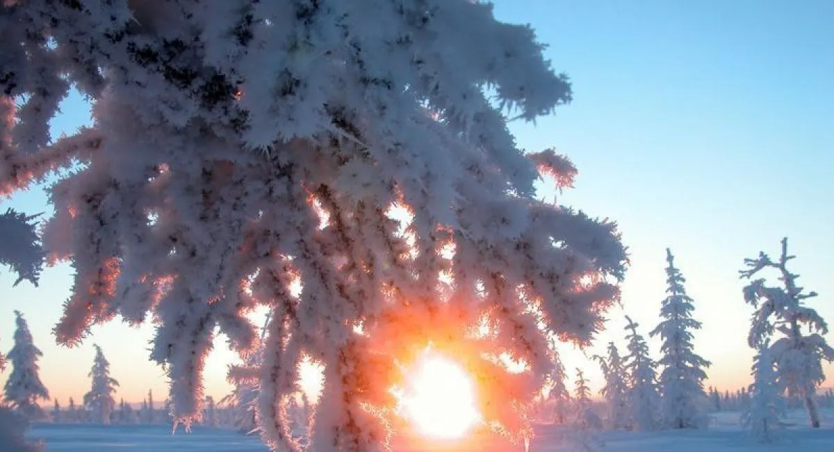 День зимнего солнцестояния: что следует сделать на удачу, и чего делать не стоит - today.ua