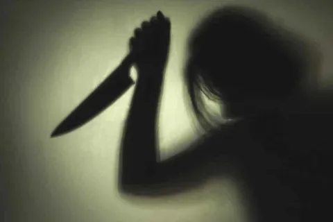 Германия против юного "Ганнибала Лектера": власти удерживают 14-летнюю девушку, которая навела ужас даже на психиатров