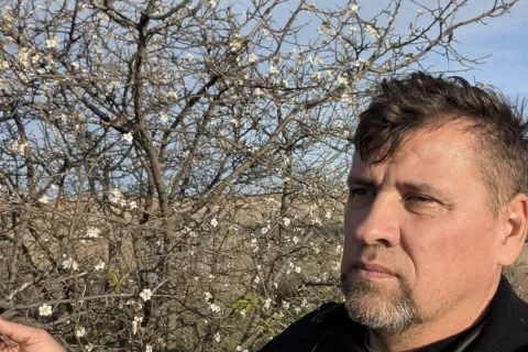 На Одещині вперше за всю історію взимку на аличі зав’язались плоди (Фото)