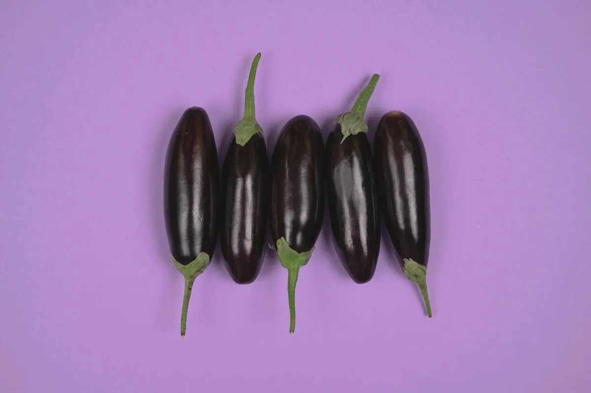 Главные враги диабета: какие овощи помогают снизить уровень сахара в организме - today.ua