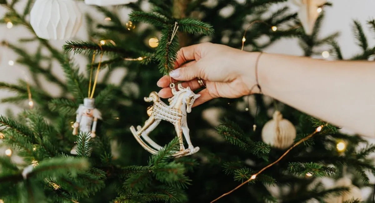 До пяти лет лишения свободы: в Минюсте рассказали, как могут наказать за самовольную вырубку елок - today.ua