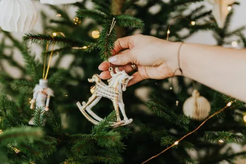 До пяти лет лишения свободы: в Минюсте рассказали, как могут наказать за самовольную вырубку елок