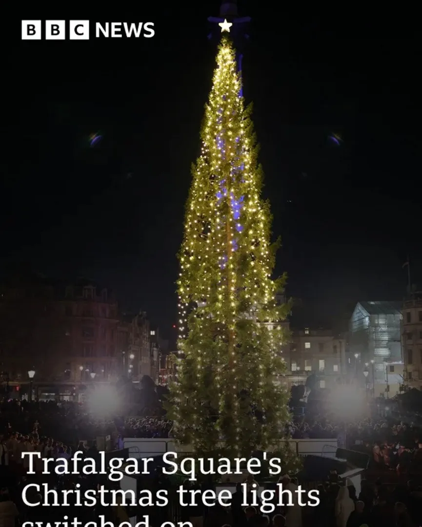 Символ истории или праздничное чудовище? Мир делится мнениями о лондонской рождественской елке (фото) - today.ua