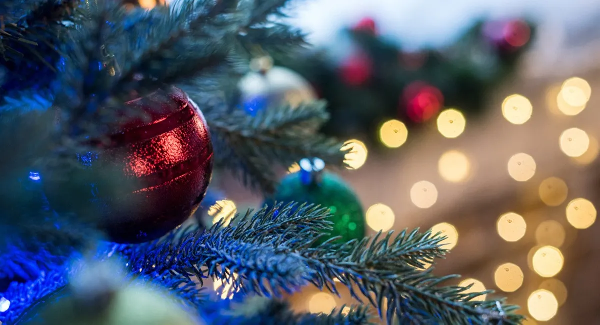 Символ истории или праздничное чудовище? Мир делится мнениями о лондонской рождественской елке (фото) - today.ua