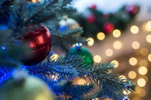 Символ истории или праздничное чудовище? Мир делится мнениями о лондонской рождественской елке (фото)