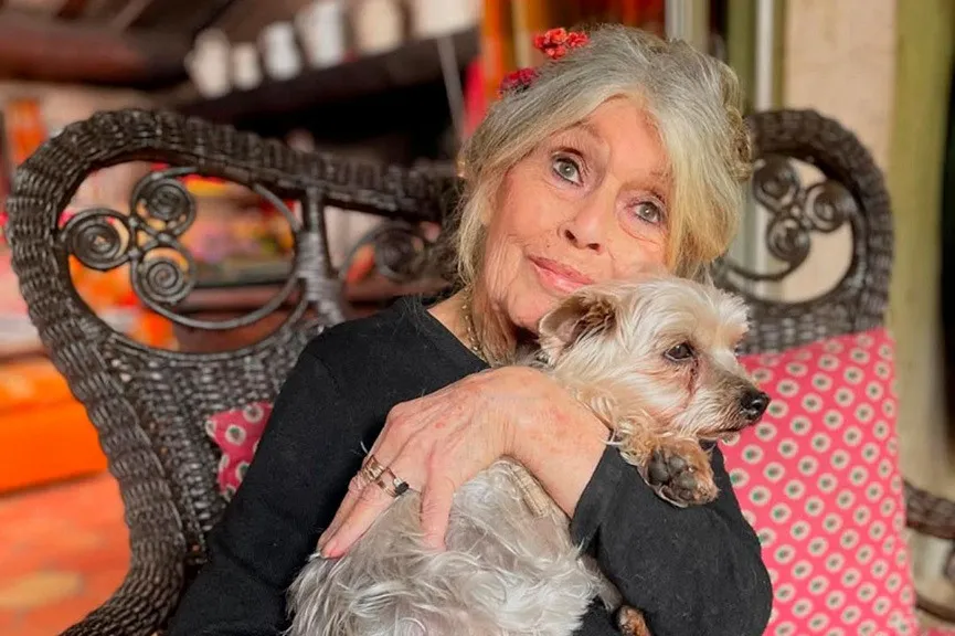 Померла Бріжит Бардо - жінка, яка стала іконою свободи, кіно та Франції ХХ століття - today.ua