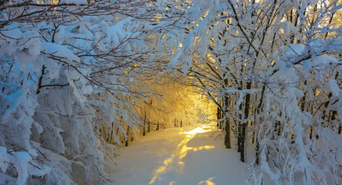 В Україну знову повертається мороз і лютий холод: коли нам очікувати кращого прогнозу погоди - today.ua