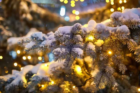 После снегопадов ударит почти двадцатиградусный мороз: синоптики опубликовали прогноз погоды на Новый год