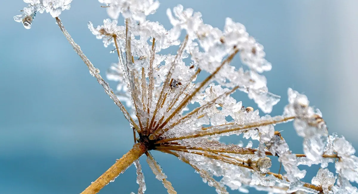 Синоптик опровергла информацию, что потепление в Украине будет резким  - today.ua