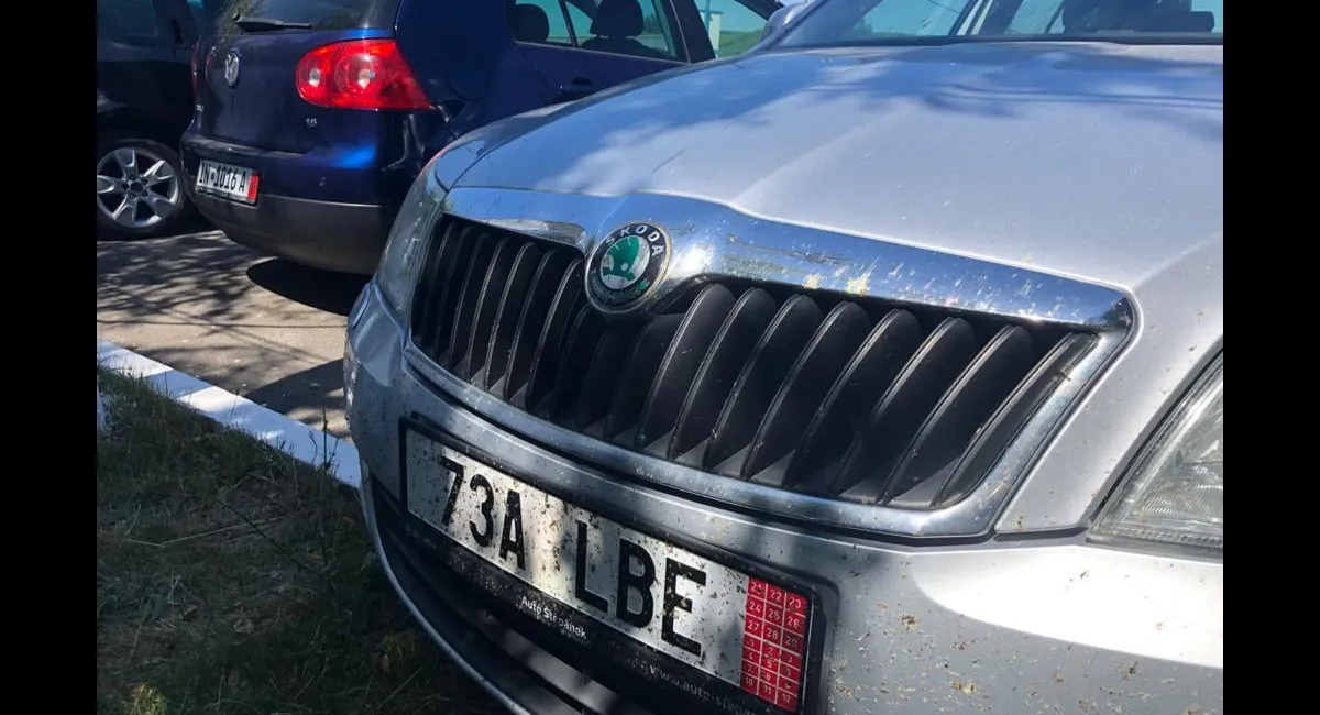 При розмитненні автомобілів в Україні почали використовувати штучний інтелект - today.ua