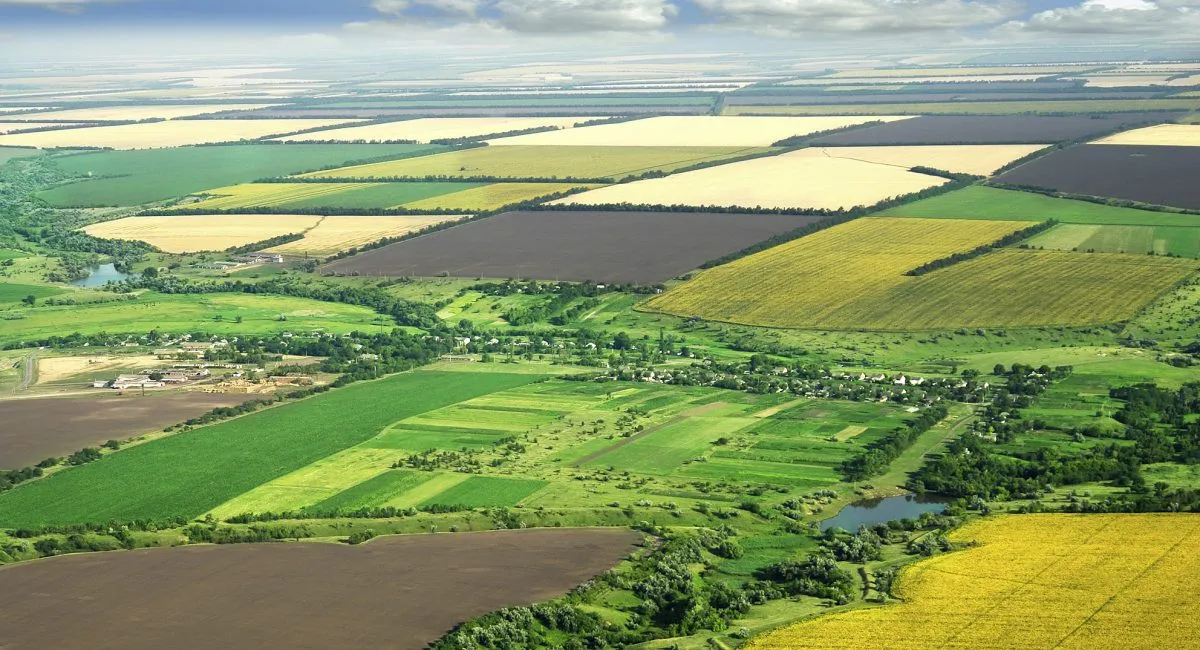 В Украине будут забирать землю за не полностью уплаченный земельный налог - today.ua
