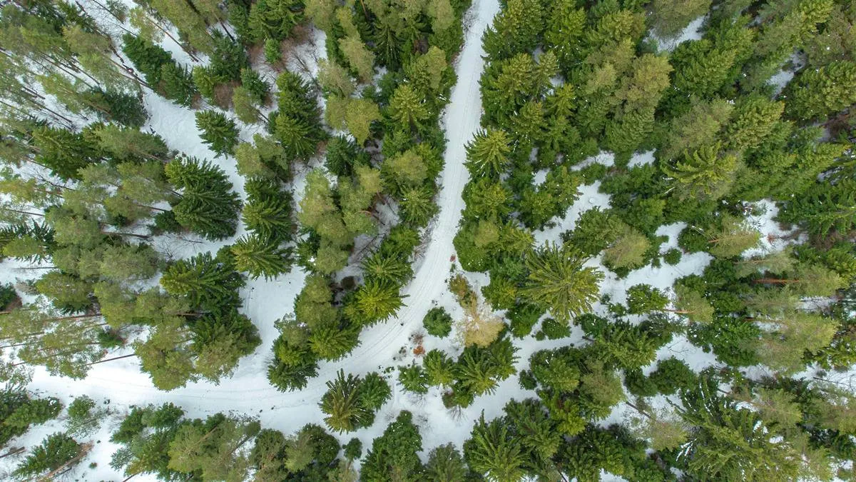 Температура воздуха ниже нормы и усиление ветра: синоптик озвучил прогноз погоды на выходные - today.ua