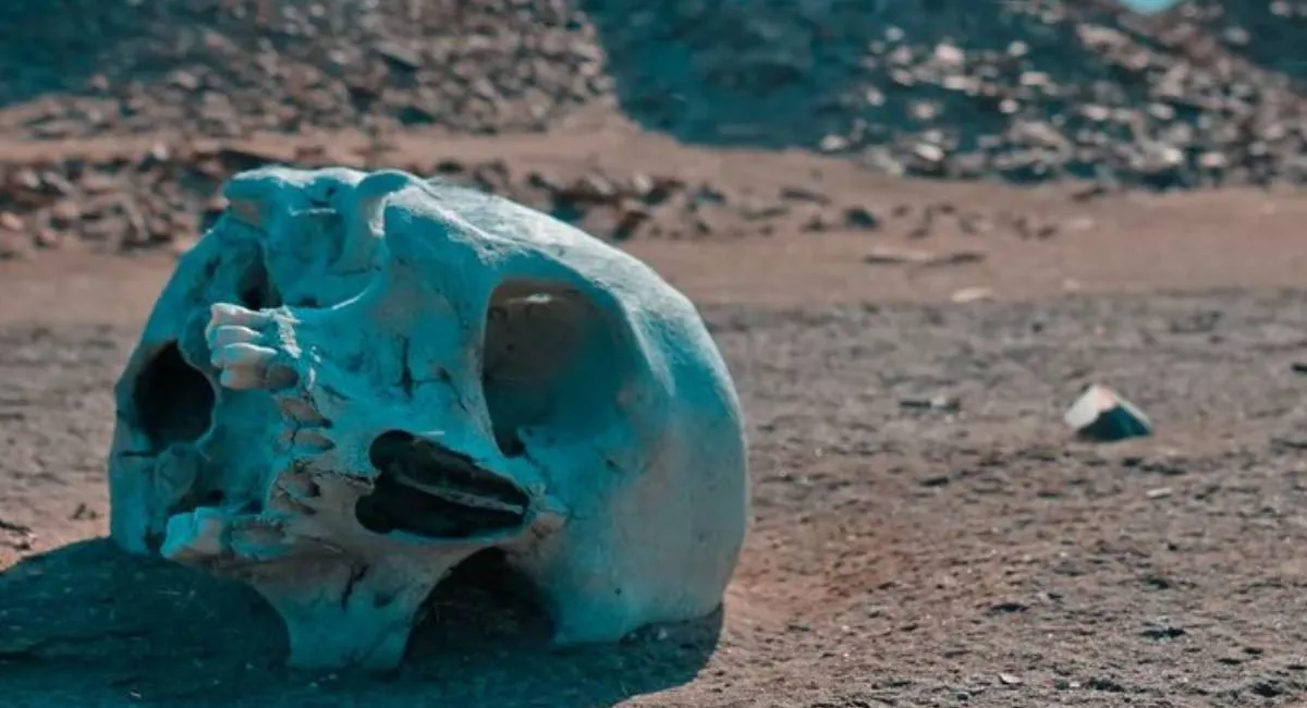 Земля чуть не стерла человечество: ученые рассказали о климатическом кризисе, который длился 100 тысяч лет - today.ua