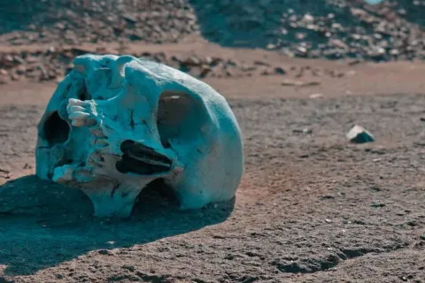 Земля ледь не "стерла" людство: науковці розповіли про кліматичну кризу, яка тривала 100 тисяч років