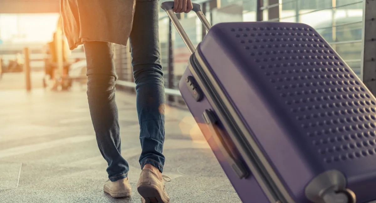 Путешествия без груза: Нова пошта запустила доставку багажа из отелей - today.ua