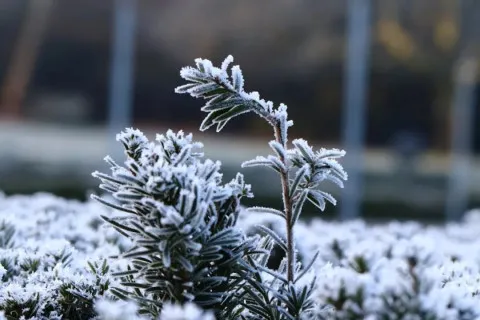 4 лютого морози в Україні ослабнуть, але ненадовго: синоптик засмутив новим прогнозом погоди