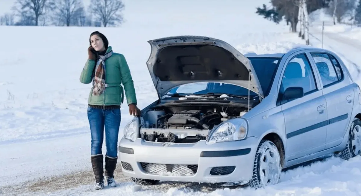 Дизель може легко замерзнути в мороз: експертка розповіла, як вберегти своє авто - today.ua