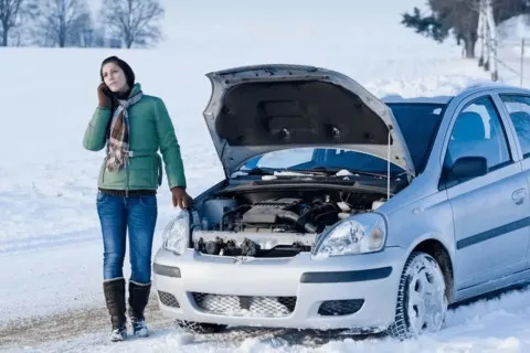 Дизель може легко замерзнути в мороз: експертка розповіла, як вберегти своє авто