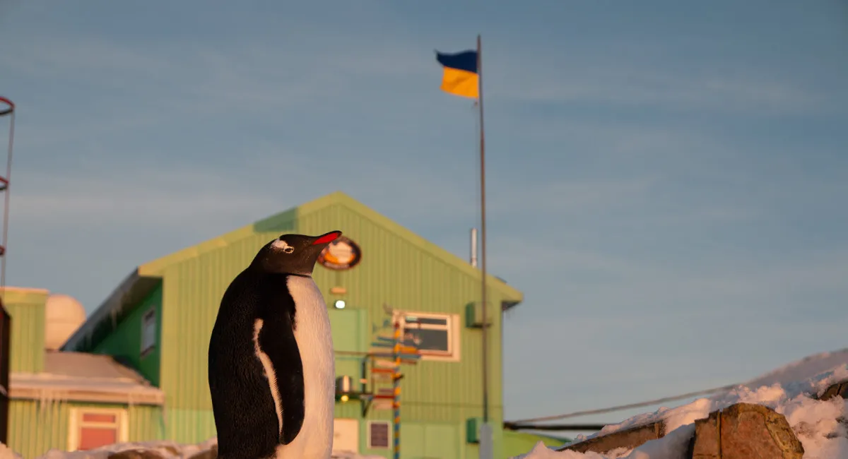 Антарктика за один фунт: як Україна 30 років тому отримала станцію Академік Вернадський - today.ua