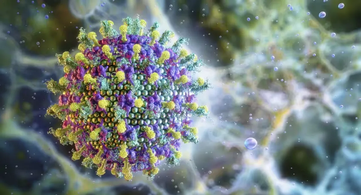 По миру распространяется смертоносный вирус с высокой летальностью: что известно о Нипах - today.ua