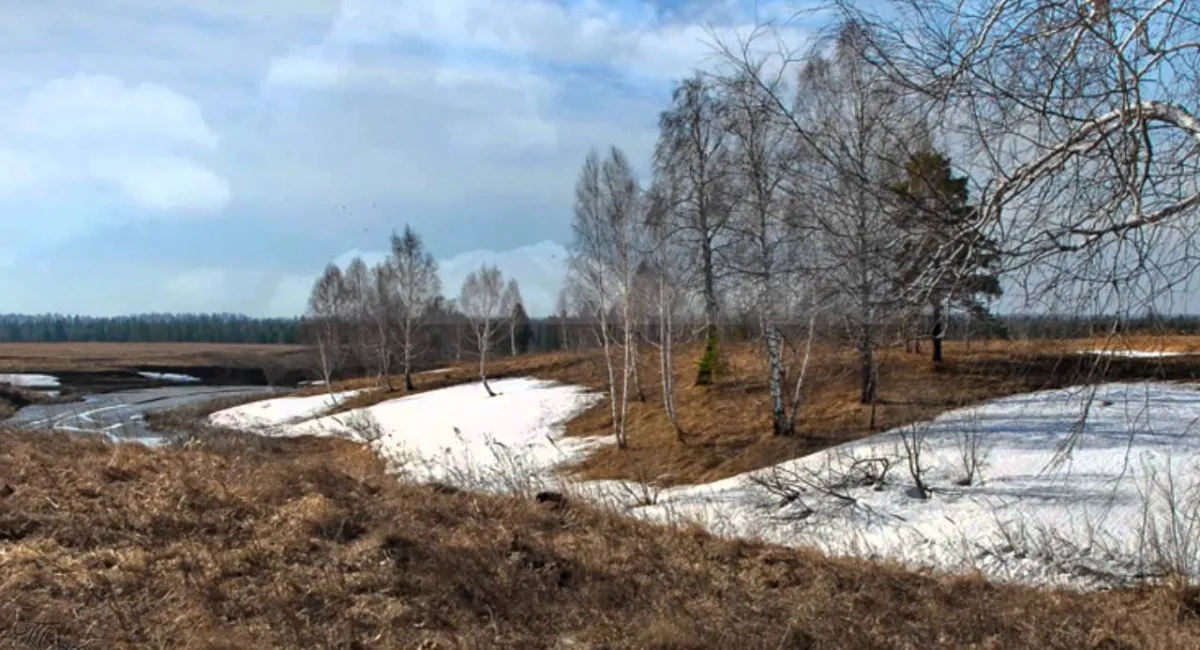 Не по календарю: украинцев предупредили о приходе астрономической весны - today.ua