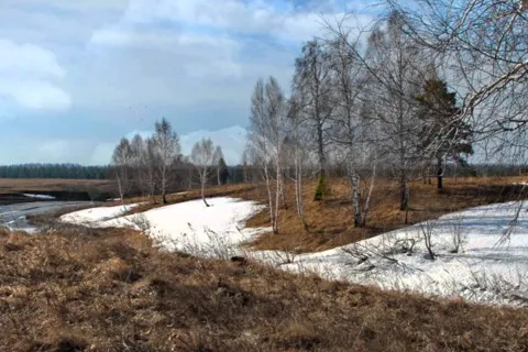 Не за календарем: українців попередили про прихід астрономічної весни