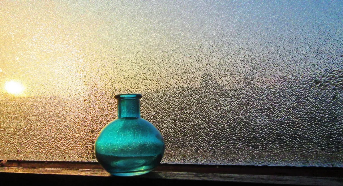 Окна больше не будут плакать: украинка поделилась полезным лайфхаком против конденсата - today.ua