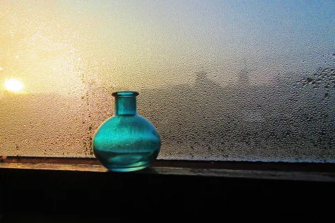 Окна больше не будут "плакать": украинка поделилась полезным лайфхаком против конденсата