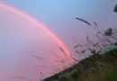 Магічний знак у п'ятницю, 13-те: над Волинню зійшла рідкісна рожева веселка. Що це віщує?