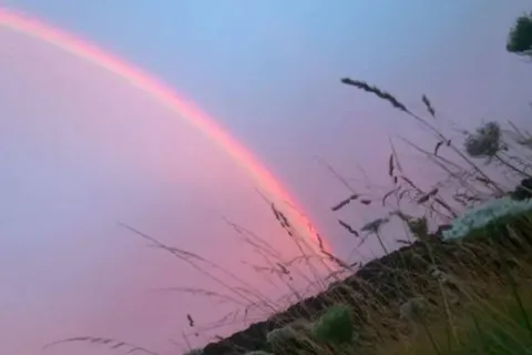 Магічний знак у п'ятницю, 13-те: над Волинню зійшла рідкісна рожева веселка. Що це віщує?