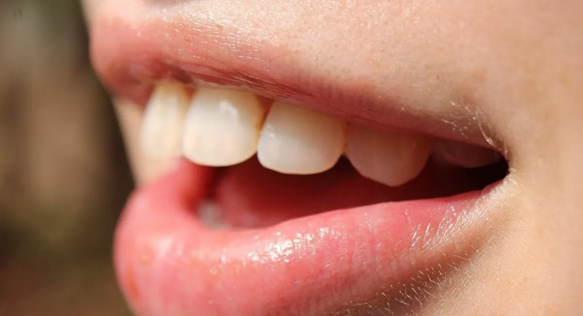 Людям будут выращивать новые зубы вместо испорченных: клинические испытания регенерации уже начались - today.ua