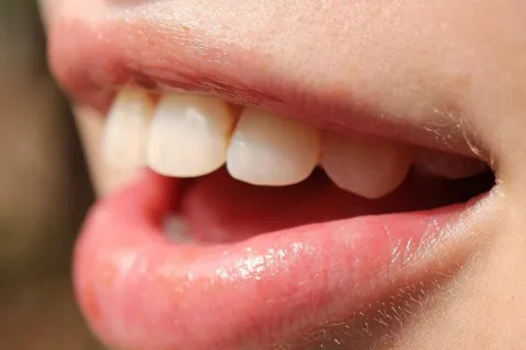 Людям будут выращивать новые зубы вместо испорченных: клинические испытания регенерации уже начались