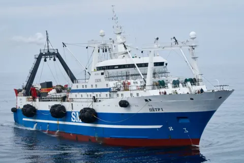 $11 млрд из океана: как Кремль незаконно превращает африканскую рыбу в деньги для войны