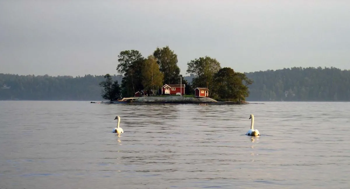 Швеція дарує свої острови: країна оголосила конкурс для любителів пригод і природи - today.ua