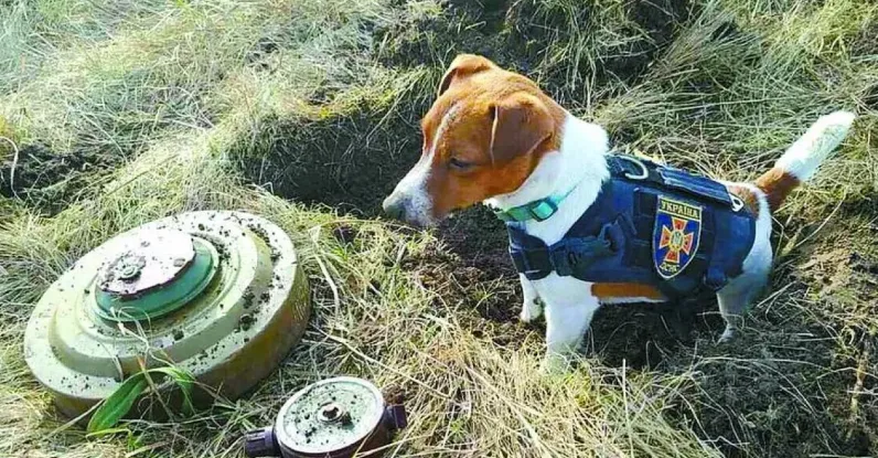 Дзвенислава замість Даздрапєрми: які стародавні українські імена знову стають популярними - today.ua