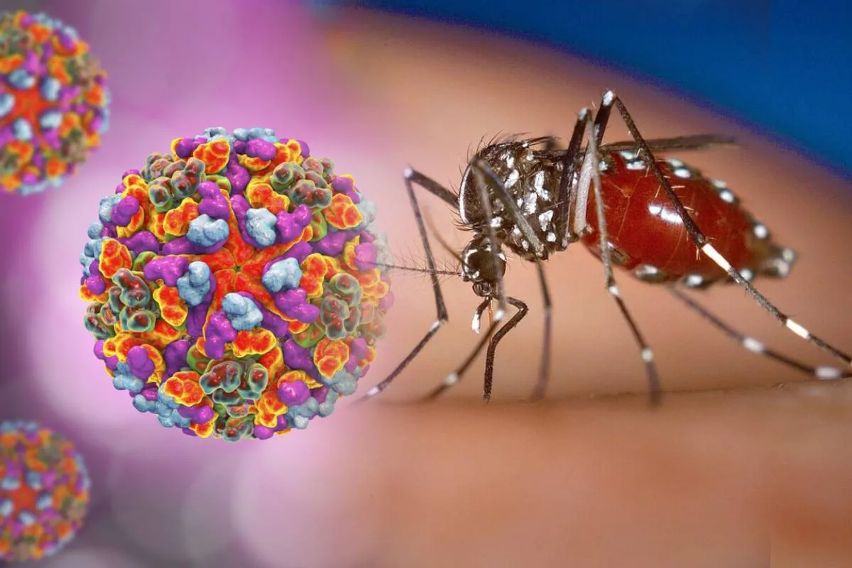 Комары несут новую опасность: по Европе распространяется опасная инфекция - today.ua