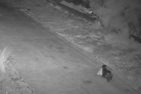 У Сицилії чоловік тренував собаку незаконно викидати сміття: його оштрафували (відео)