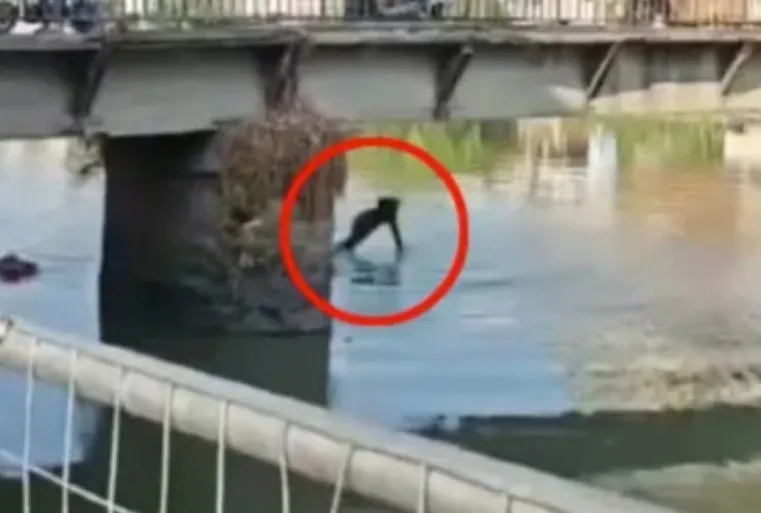 Чоловік під час сварки з дружиною скинув дитину з мосту - today.ua