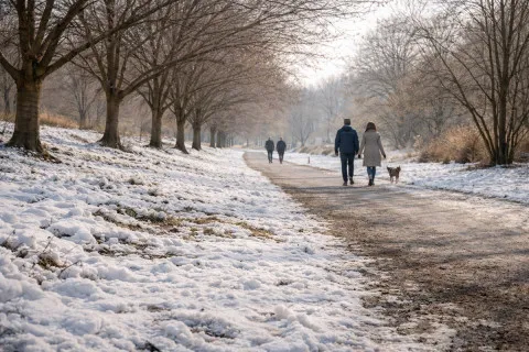 До +13 уже в воскресенье: синоптики дали прогноз на выходные